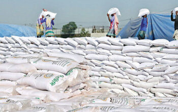 ৩৯৯ কোটি ৫০ লাখ টাকার সার কিনবে রাশিয়া-সৌদি থেকে সরকার