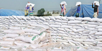 ৩৯৯ কোটি ৫০ লাখ টাকার সার কিনবে রাশিয়া-সৌদি থেকে সরকার