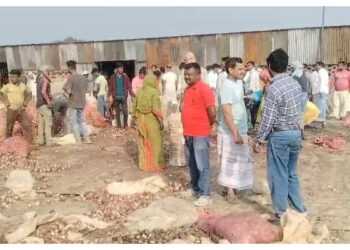 বিপাকে ভারতীয় ব্যবসায়ীরা পেঁয়াজ আমদানিতে নিষেধাজ্ঞা হতেই