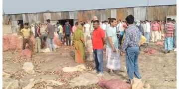 বিপাকে ভারতীয় ব্যবসায়ীরা পেঁয়াজ আমদানিতে নিষেধাজ্ঞা হতেই