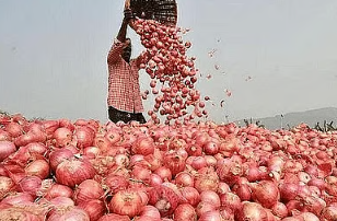 ভারতের পেঁয়াজে রপ্তানি সংকট, মুখ ফিরিয়ে ‍নিচ্ছেন ঐতিহ্যবাহী ক্রেতারা