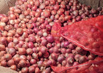 খাতুনগঞ্জে পেয়াজের দাম ছাড়ালো ১০০ টাকা