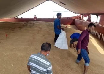 যুক্তরাষ্ট্র থেকে পৌঁছেছে ৬১ হাজার টন গমের চালান