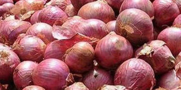 পেঁয়াজ আমদানির অনুমোদন সীমিত পরিসরে