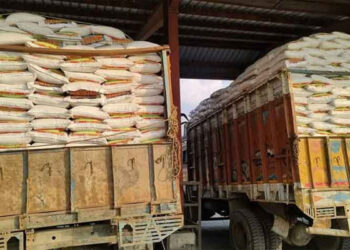 ৫০ হাজার টন সিদ্ধ চাল আসবে ভারত থেকে ২১৪ কোটি টাকায়