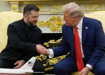 ইউক্রেন যুদ্ধ অবসানে রোববার যুক্তরাষ্ট্রে ট্রাম্প–জেলেনস্কির বৈঠক