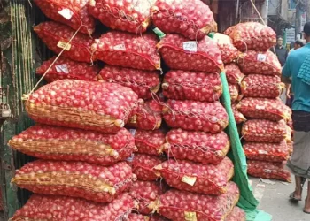 আমদানি ঘোষণা হতেই এক দিনে পেঁয়াজের দাম কমল কেজিতে ৪০ টাকা