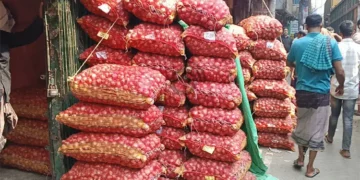 আমদানি ঘোষণা হতেই এক দিনে পেঁয়াজের দাম কমল কেজিতে ৪০ টাকা