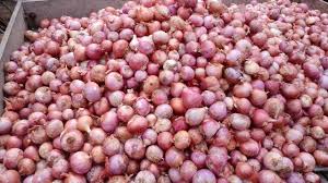 কেজিতে ৬০ টাকা পর্যন্ত কমল পেয়াঁজের দাম এক সপ্তাহে