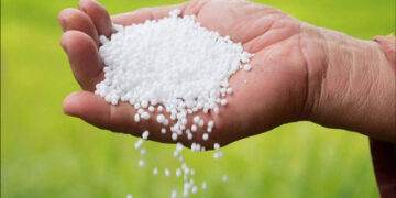 ৮০ হাজার টন সার কিনবে সরকার আরব আমিরাত-মরক্কো থেকে