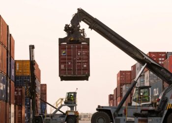 আমিরাতের সঙ্গে সব চুক্তি বাতিল সোমালিয়ার, বন্দর ও সামরিক ঘাঁটি ছাড়ার নির্দেশ