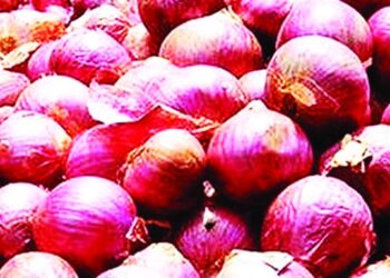 চাক্তাই-খাতুনগঞ্জে বেড়েছে পেঁয়াজের সরবরাহ