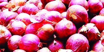 চাক্তাই-খাতুনগঞ্জে বেড়েছে পেঁয়াজের সরবরাহ