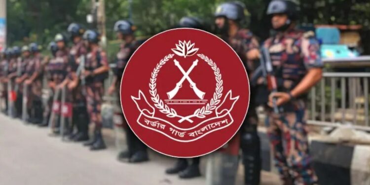 বিজিবির অভিযানে ২০২৫ সালে ১৯০৮ কোটি টাকার পণ্য জব্দ