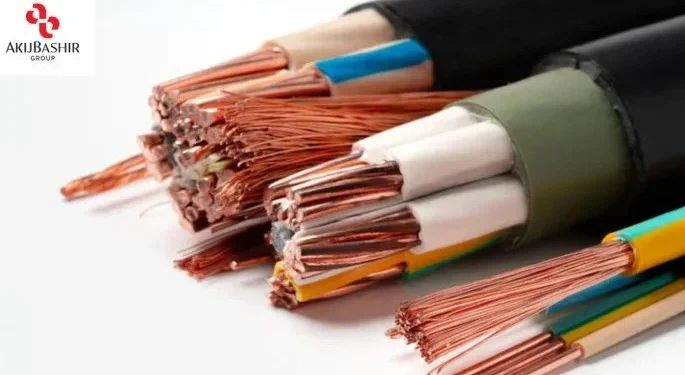 ক্যাবল শিল্পে ৩০০ কোটি টাকা বিনিয়োগে আকিজ–বশির গ্রুপ