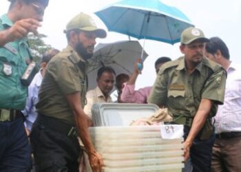 ব্যালটসহ ভোটের উপকরণ যাচ্ছে কেন্দ্রে কেন্দ্রে