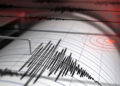 ফের ভূমিকম্পে কাপঁল দেশ