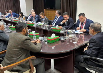 প্রধান নির্বাচন কমিশনারের সঙ্গে ইইউ পার্লামেন্ট প্রতিনিধিদলের বৈঠক