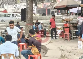 নির্বাচনী ডামাডোলে চাঙ্গা হচ্ছে নিম্নআয়ের মানুষের অর্থনীতি