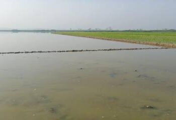 কাপ্তাই হ্রদের পানি না কমায় বিপাকে ১৩ হাজার কৃষক