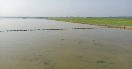 কাপ্তাই হ্রদের পানি না কমায় বিপাকে ১৩ হাজার কৃষক