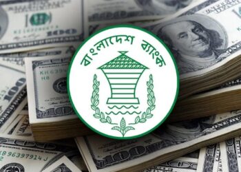 আরও ১৯ কোটি ৬৫ লাখ ডলার কিনল বাংলাদেশ ব্যাংক