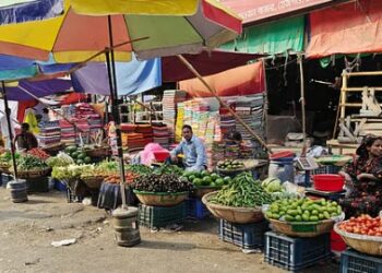 বাজারে কম ক্রেতা–বিক্রেতা, চড়া মুরগির দাম