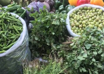 চট্টগ্রামের বাজারে সবজির দামে কমেছে ‘উত্তাপ’