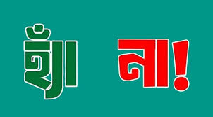 ২৩ কেন্দ্রে প্রাথমিক ফলাফলে ‘হ্যাঁ’ ভোট এগিয়ে