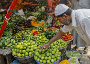বাজারে দাম কমল লেবু-শসা-বেগুনের