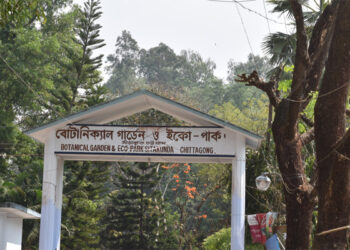 সীতাকুণ্ডে গলা কেটে শিশু হত্যার মূল আসামি গ্রেপ্তার