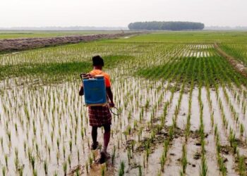 বিশ্বব্যাপী কৃষি উৎপাদন ও খাদ্য সরবরাহে ‘বিপর্যয়ের’ শঙ্কা
