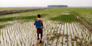 বিশ্বব্যাপী কৃষি উৎপাদন ও খাদ্য সরবরাহে ‘বিপর্যয়ের’ শঙ্কা