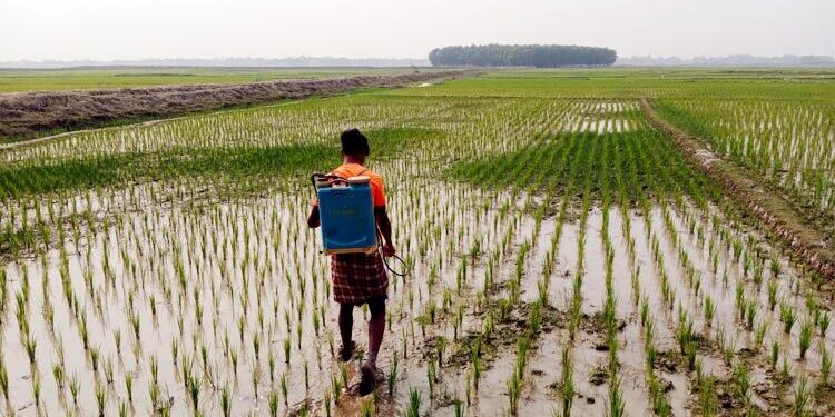 বিশ্বব্যাপী কৃষি উৎপাদন ও খাদ্য সরবরাহে ‘বিপর্যয়ের’ শঙ্কা