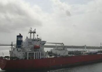 হরমুজ প্রণালি ছেড়ে আসা ১২ জাহাজ পৌঁছেছে চট্টগ্রামে