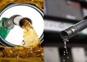 আপাতত দেশে তেলের দাম বাড়াবে না সরকার