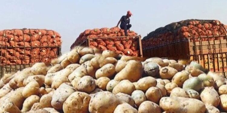বাংলাদেশি আলু রফতানির জন্য ভিয়েতনামের বাজার উন্মুক্ত