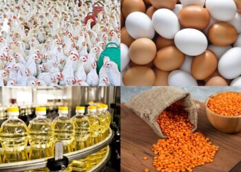 ঈদের আগেই বাড়ছে নিত্যপ্রয়োজনীয় পণ্যের দাম