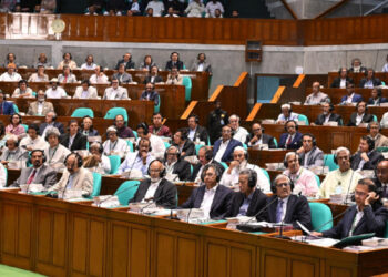 সংবিধান সংস্কার পরিষদের ব্যাপারে সাড়া নেই বিএনপিতে