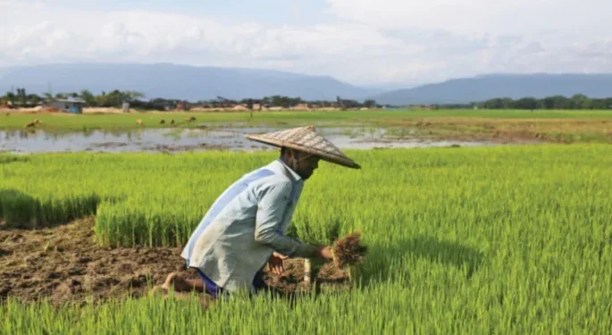১০ হাজার টাকা পর্যন্ত কৃষি ঋণ পরিশোধ করবে সরকার