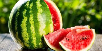 যে নিয়মে তরমুজ খেলে শরীরের উপকার আসবে