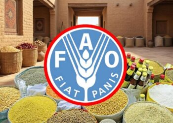 বিশ্বজুড়ে খাদ্যপণ্যের দাম বাড়ার সতর্কতা জাতিসংঘের