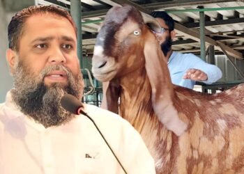 ছাগলকাণ্ডে আলোচিত সাদিক অ্যাগ্রোর ইমরানের হাইকোর্টে জামিন