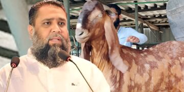 ছাগলকাণ্ডে আলোচিত সাদিক অ্যাগ্রোর ইমরানের হাইকোর্টে জামিন