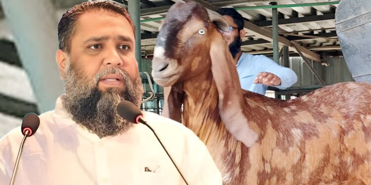 ছাগলকাণ্ডে আলোচিত সাদিক অ্যাগ্রোর ইমরানের হাইকোর্টে জামিন