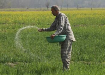 ভারতে সার উৎপাদন কমেছে প্রায় ২৫ শতাংশ