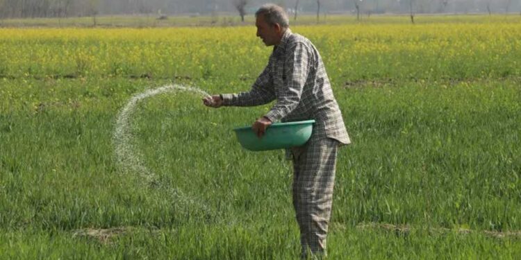 ভারতে সার উৎপাদন কমেছে প্রায় ২৫ শতাংশ