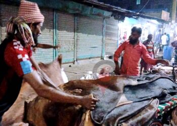 চট্টগ্রামে ৩৫০ টাকায় কেনা চামড়া আড়তে বিক্রি মাত্র ১৫০ টাকায়
