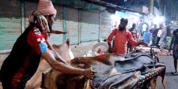 চট্টগ্রামে ৩৫০ টাকায় কেনা চামড়া আড়তে বিক্রি মাত্র ১৫০ টাকায়