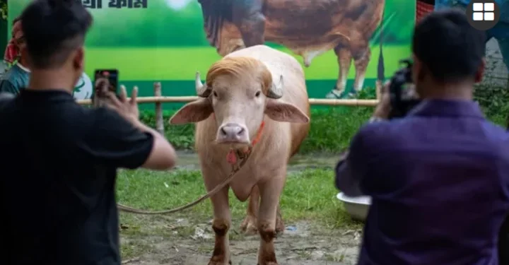 কোরবানি হচ্ছে না ‘ডোনাল্ড ট্রাম্প’
